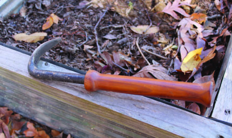 a short-handled hand weeder with a curved end